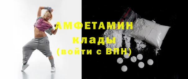 твердый Арсеньев