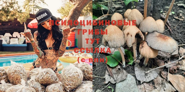 дживик Баксан