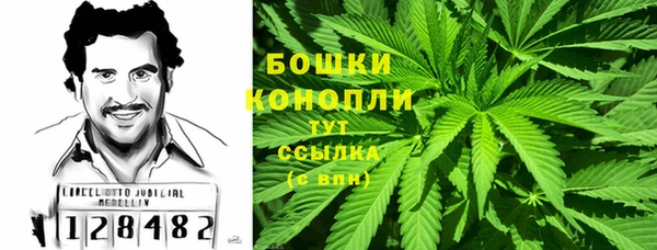 твердый Арсеньев